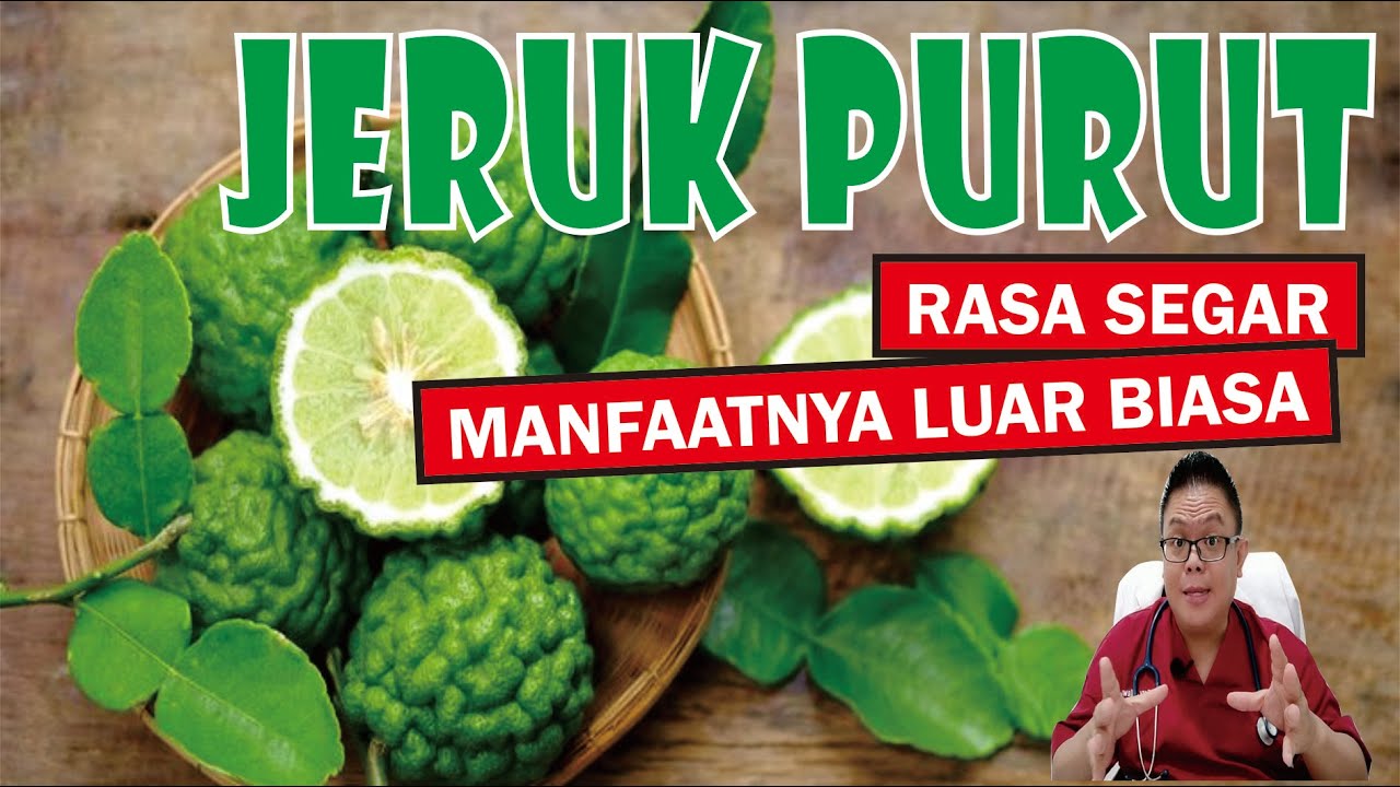 JERUK PURUT.............. RASA SEGAR DENGAN MANFAAT YANG LUAR BIASA UNTUK KESEHATAN