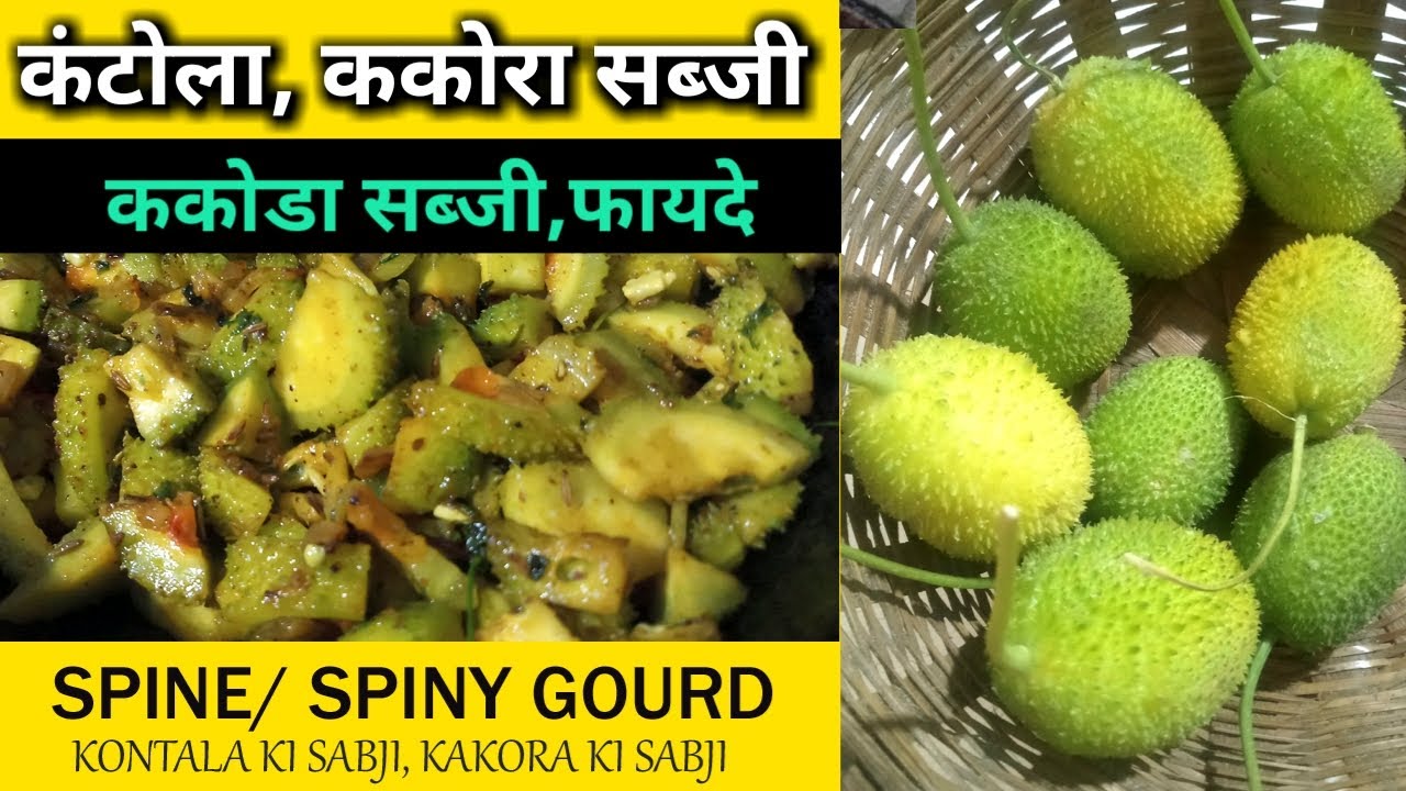SPINY GOURD | kantola vegetable | spiny gourd benefits | ककोड़ा | kakrol recipe | KANTOLA KI SABJI