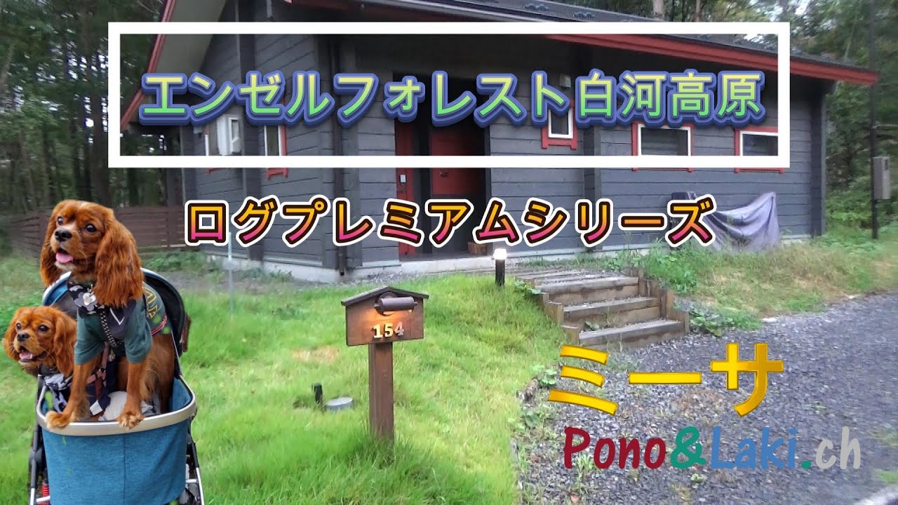 エンゼルフォレスト白河高原　ログプレミアム　ミーサ（キャバリアが行く）