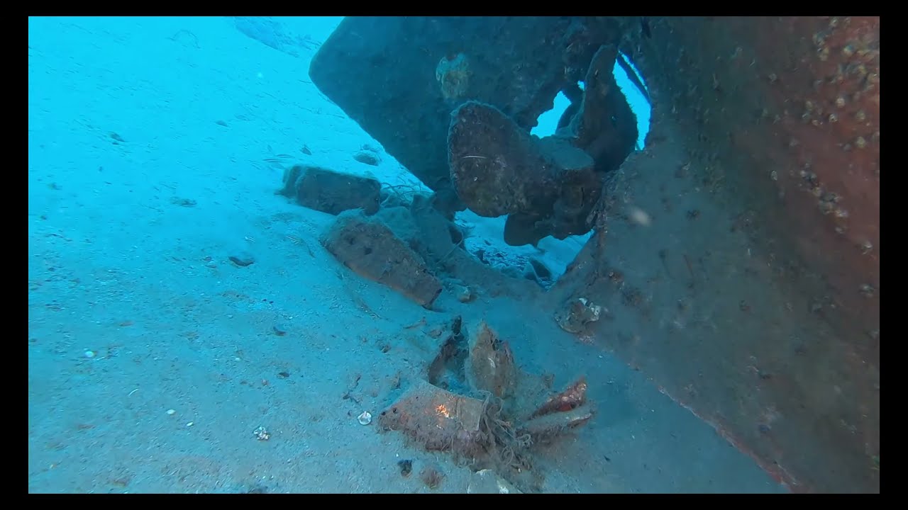 Immersione sul relitto del Pellaro