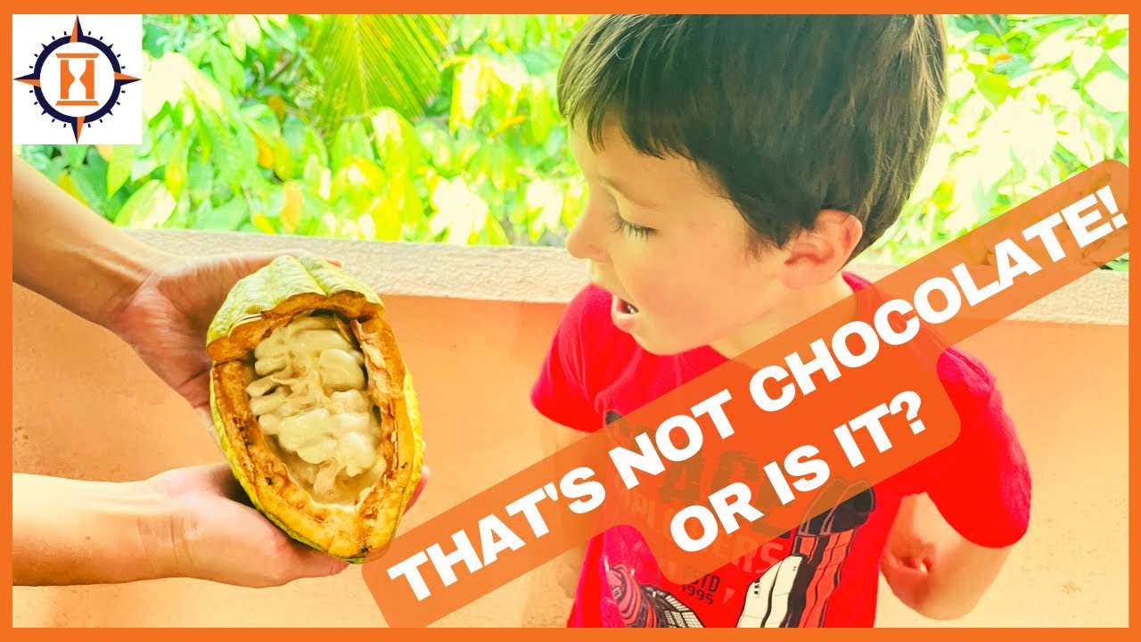 BELIZE MAYAN CHOCOLATE FARM (generational artisans keeping traditions alive)