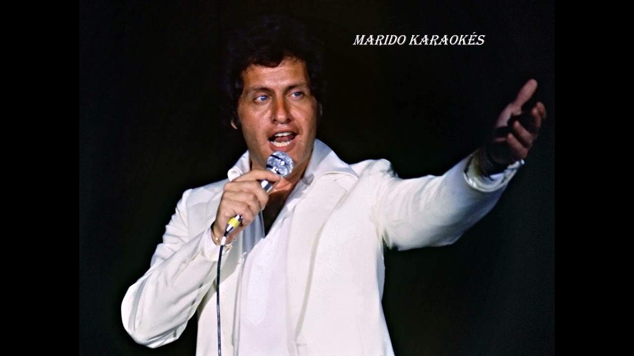 Karaoké Joe Dassin - À toi   remix Bia
