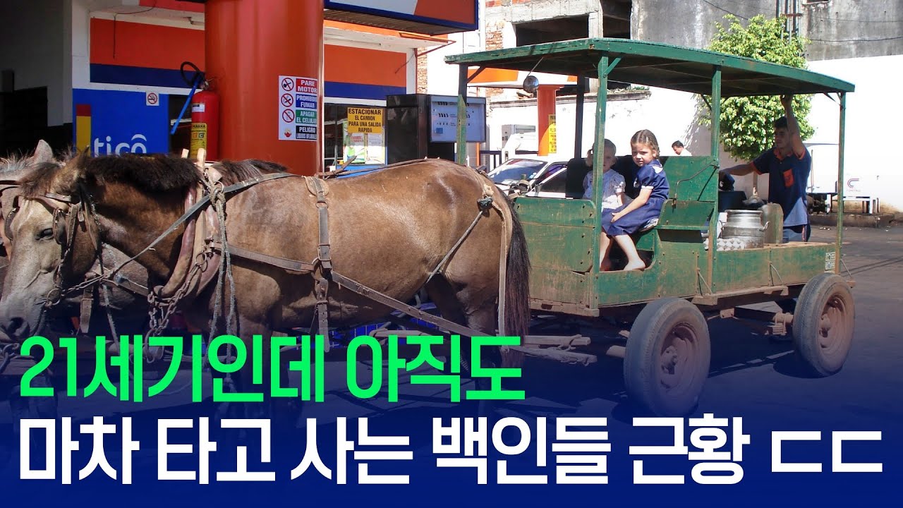 21세기인데 아직도 마차 타고 사는 백인들 근황 ㄷㄷ