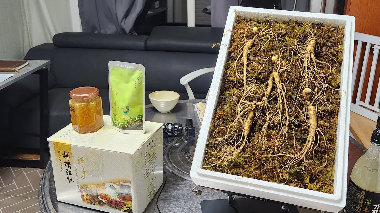 시골총각 산삼과 산양삼 꿀 산양삼 즙