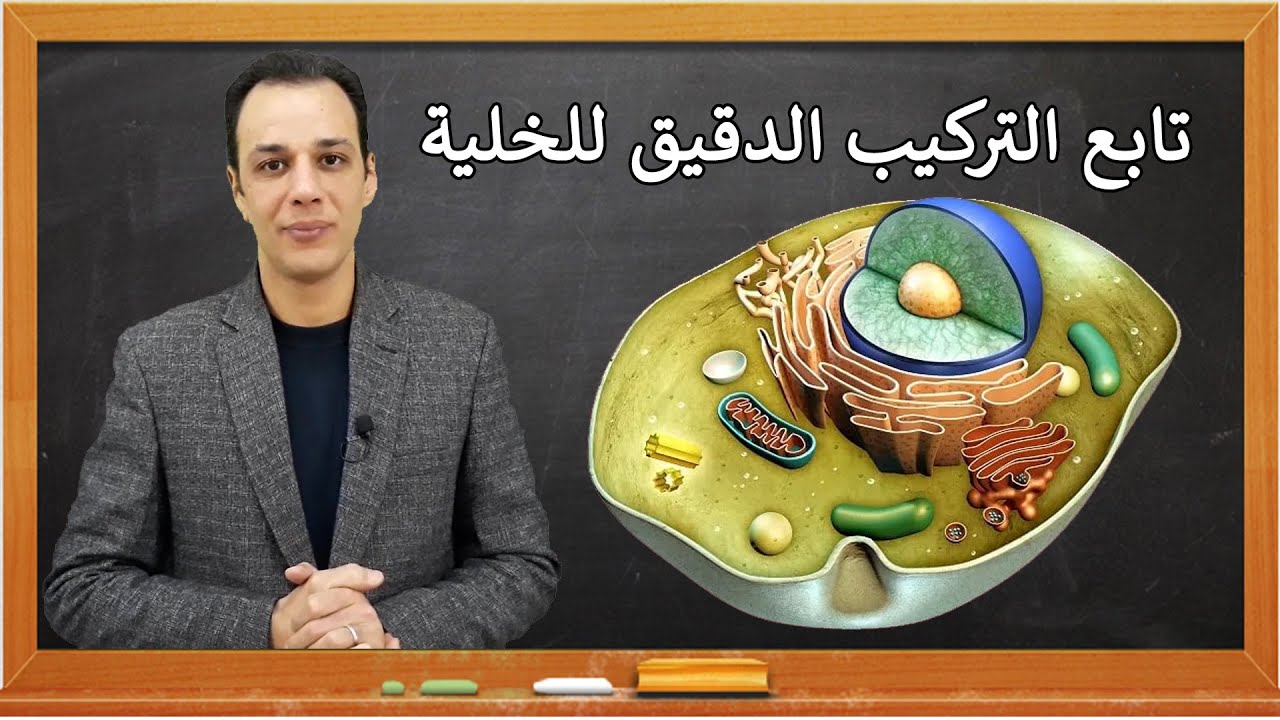 08 - تابع التركيب الدقيق للخلية