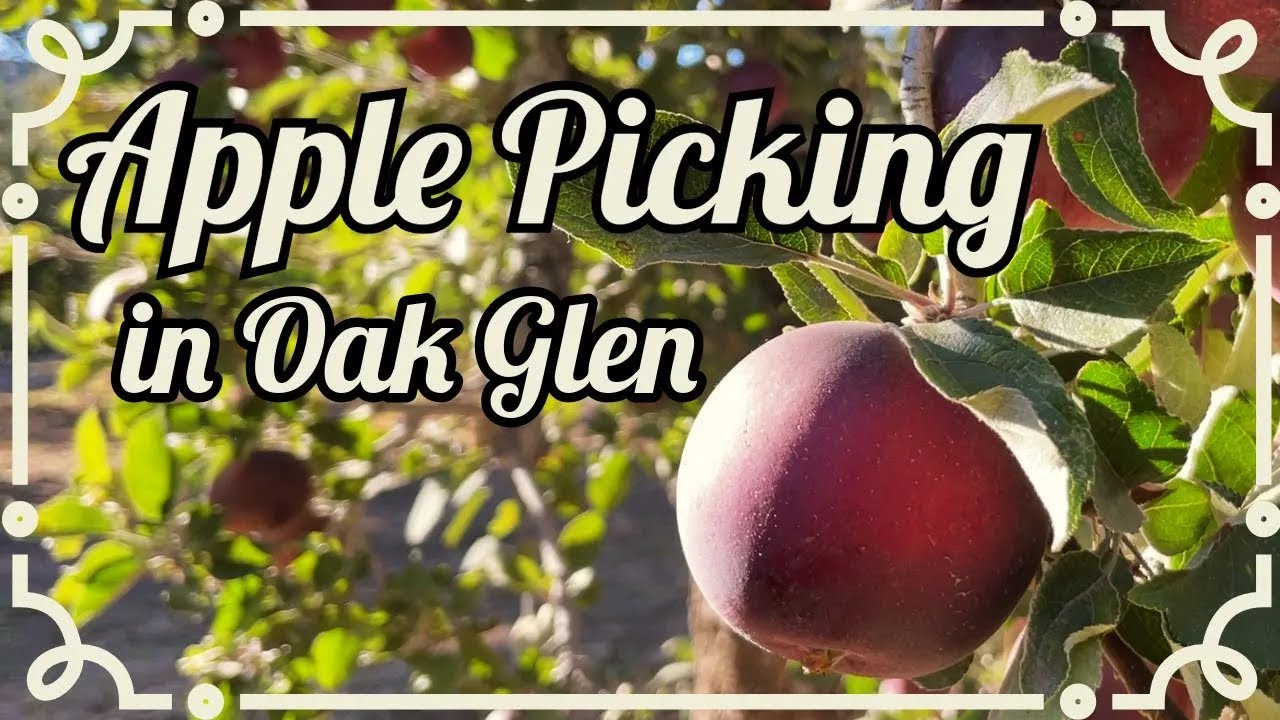 🐝🧺🍁Fall Day in My Life🪓Axe Throwing🍎Apple Picking🍯🥧1 Hour from Los Angeles💛