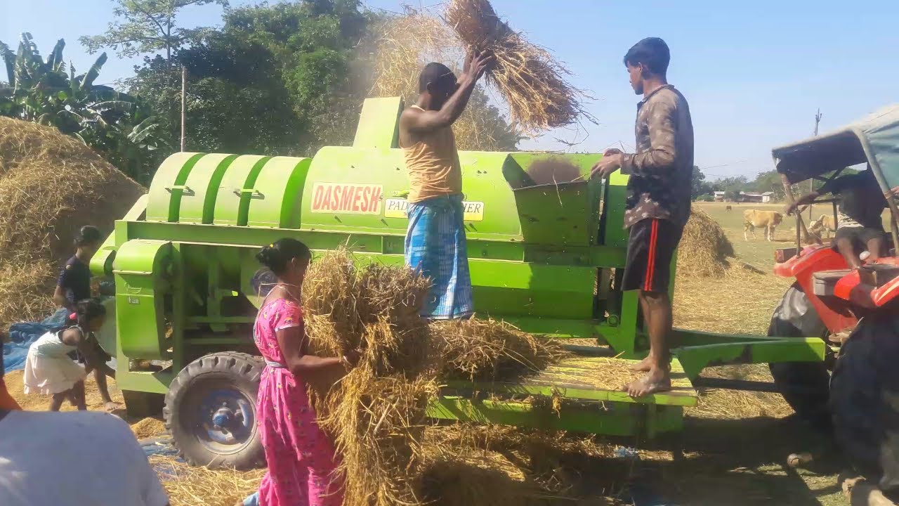 DASMESH PPADDY THRESHER MASSEY FERGUSON DI 5245 MAHA MAHAAN