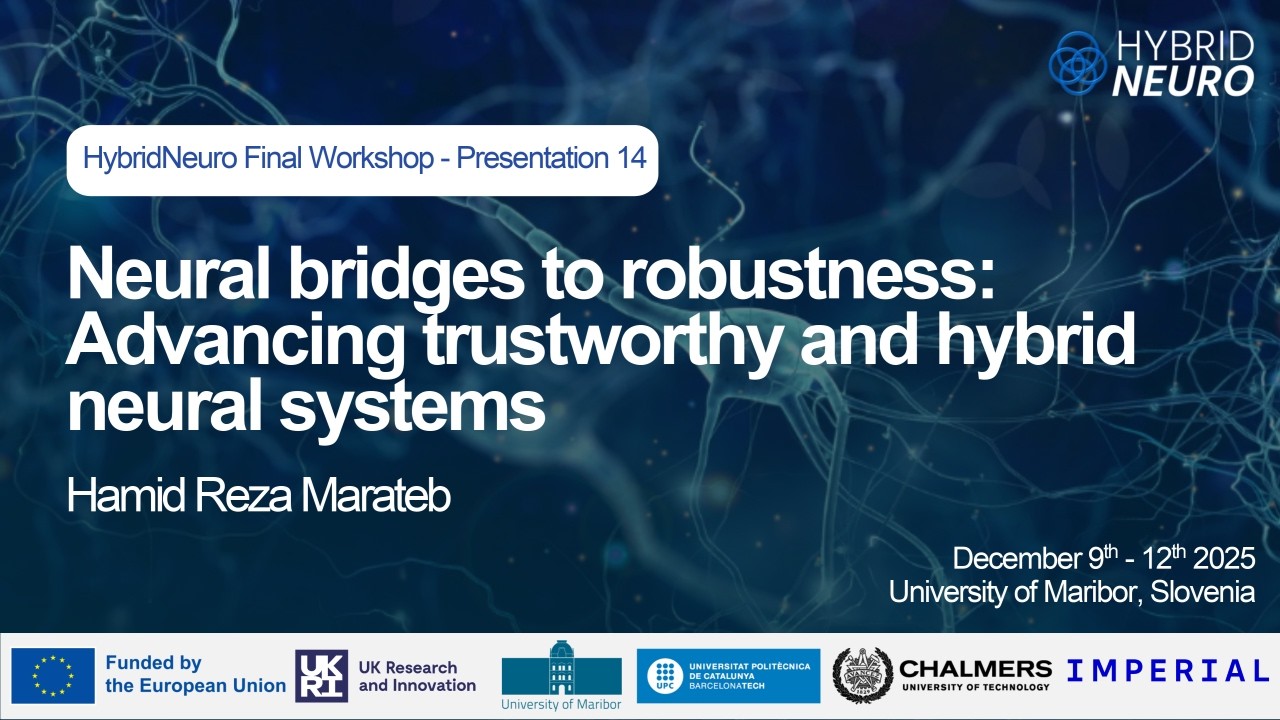 Neural bridges to robustness - Hamid Reza Marateb - NB25 Presentation 14