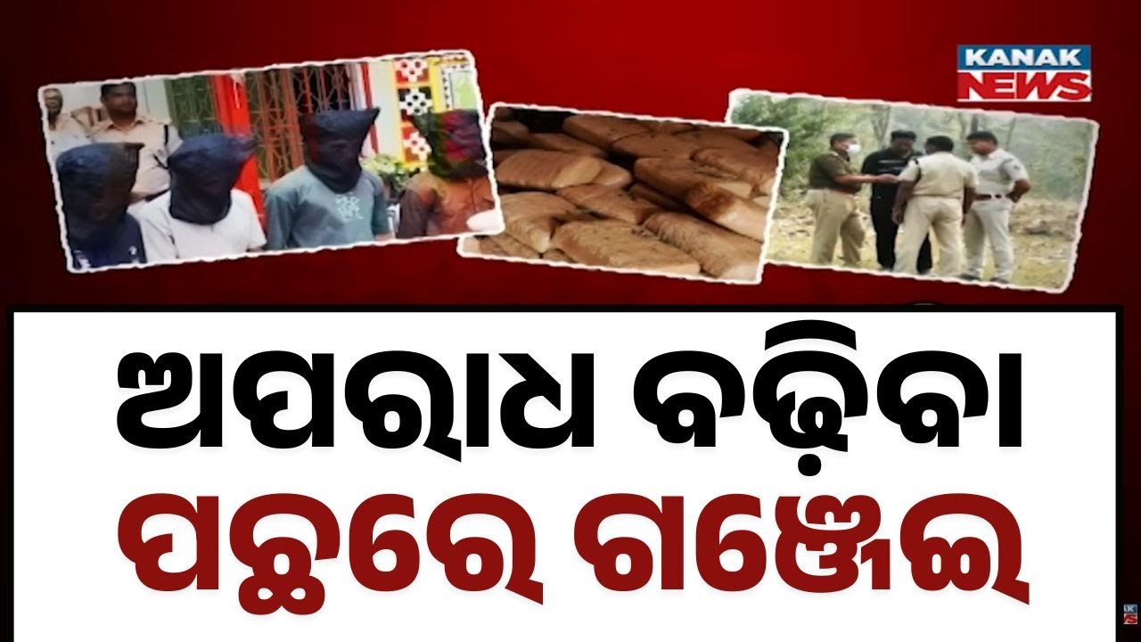 How Ganja Smuggling Is Fueling Crime in Odisha | Ganjam Murder Case