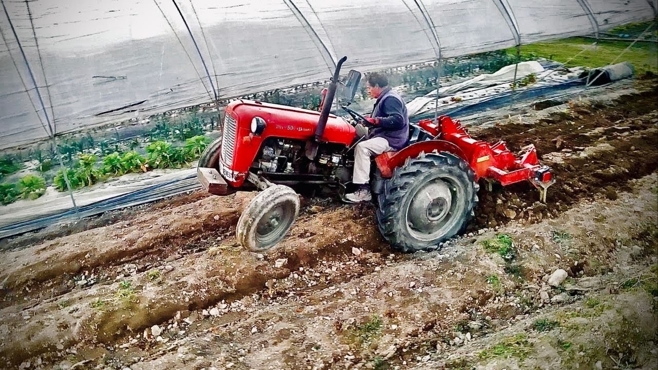 Ripanje - podrahljavanje in zračenje zemlje z IMT 539 Deluxe 2021