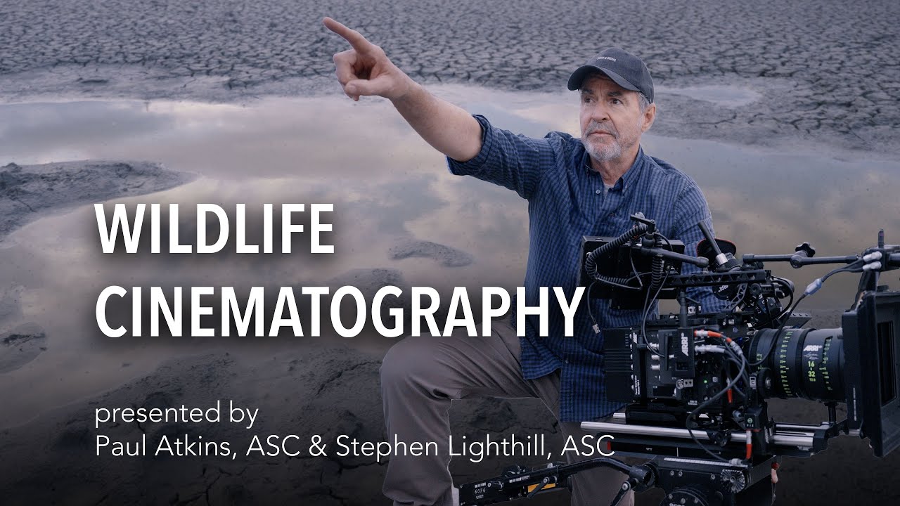 Wildlife Cinematography Course &ndash; Trailer