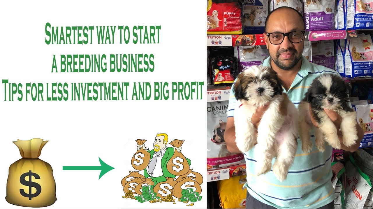 Puppy | Dog Breeding Business - Tips How Less Investment And Getting Big Profit | BHOLASHOLA.
