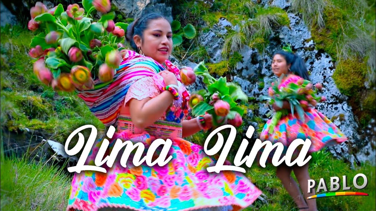 Flor Escobar - Salcabambatam Ñuccallay Rinccani (Video Oficial) Santiago 2022 ♪