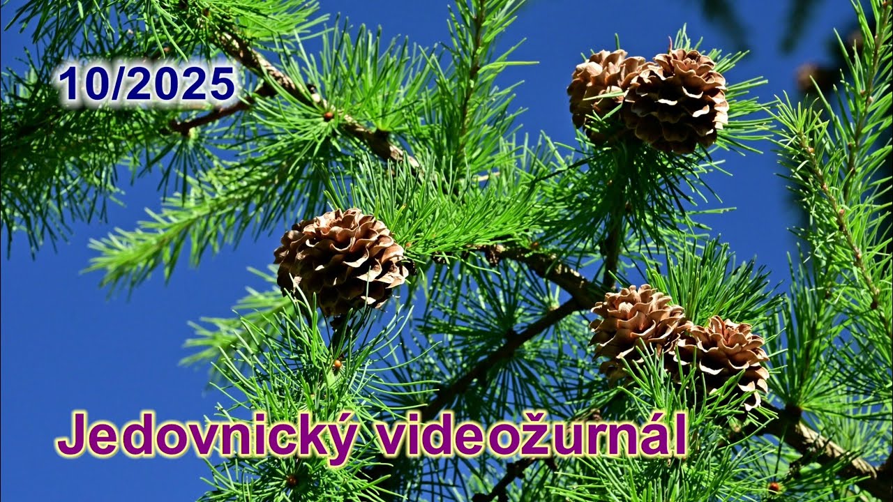 Jedovnický videožurnál – říjen 2025