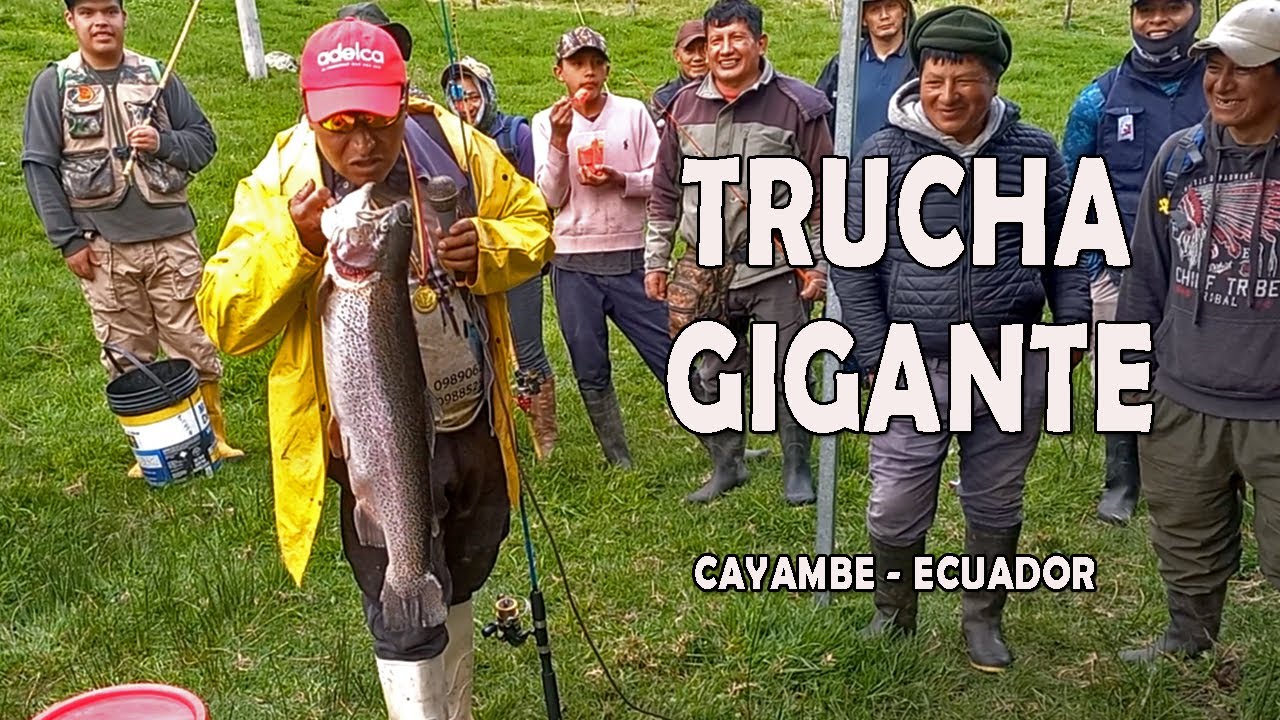PESCANDO TRUCHAS GIGANTES | fishing in ecuador Cayambe @charlesysusaventuras