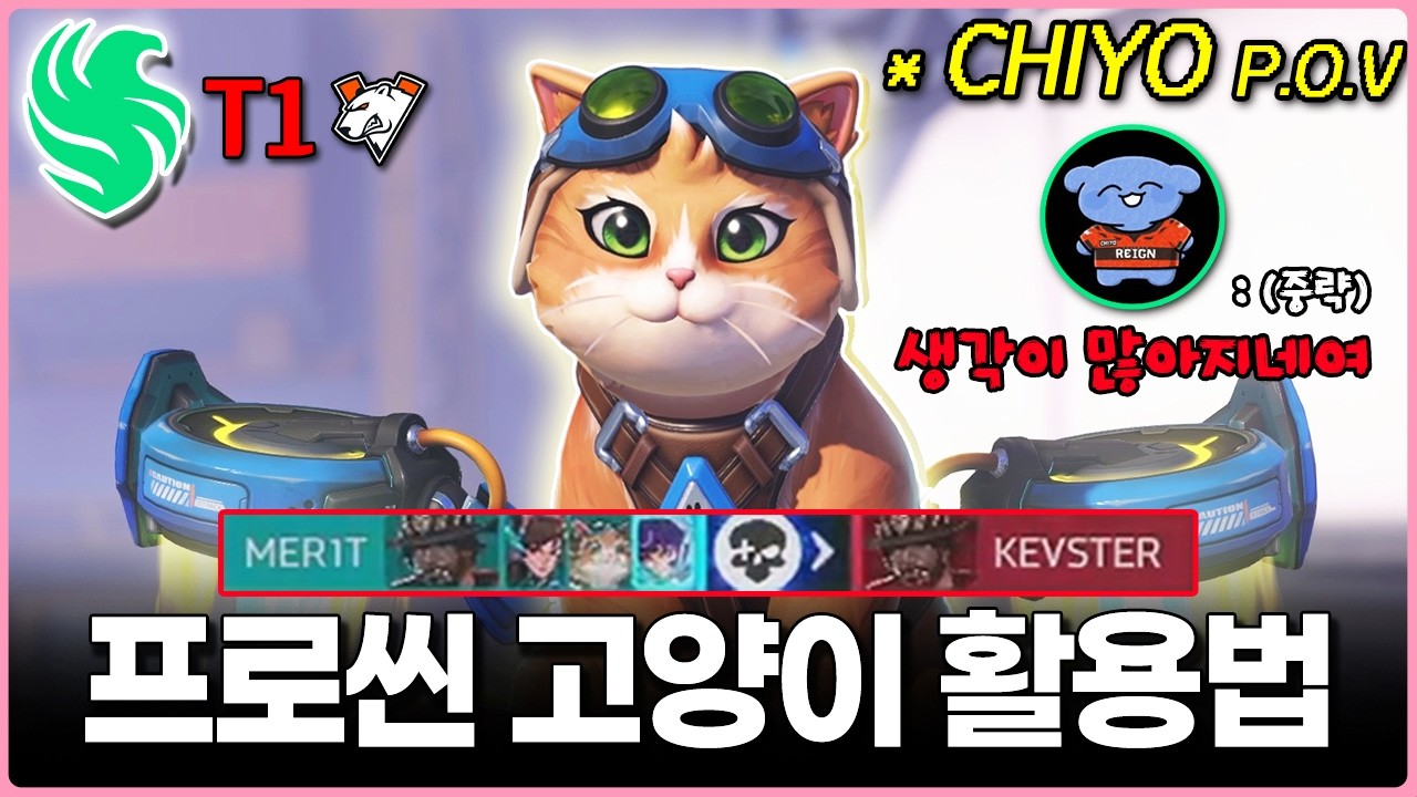 벌써 고였다는 '치요' 선수의 제트팩 캣 플레이와 질의응답, 소감까지ㅣ오버워치 시즌 1 신캐 프로 스크림 / 팀 팔콘 치요 POV