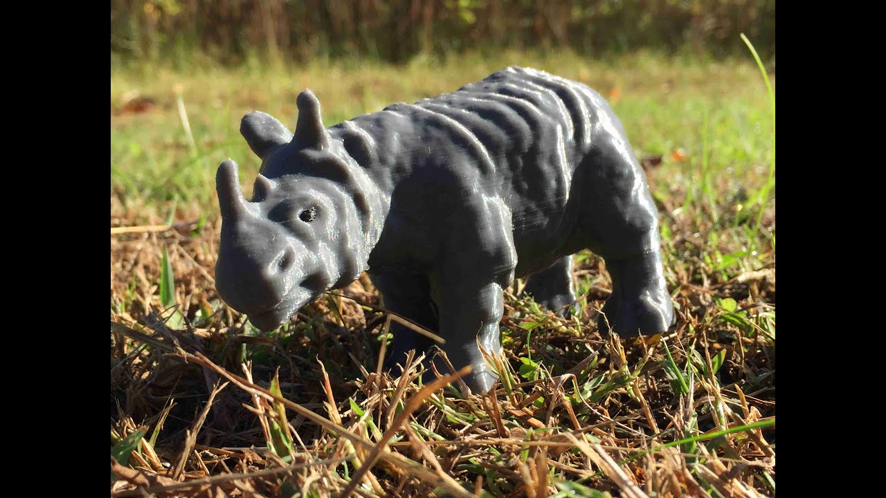Rhinoceros -18 OCT 2021