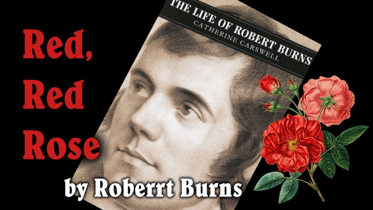 Red, Red Rose by Robert Burns