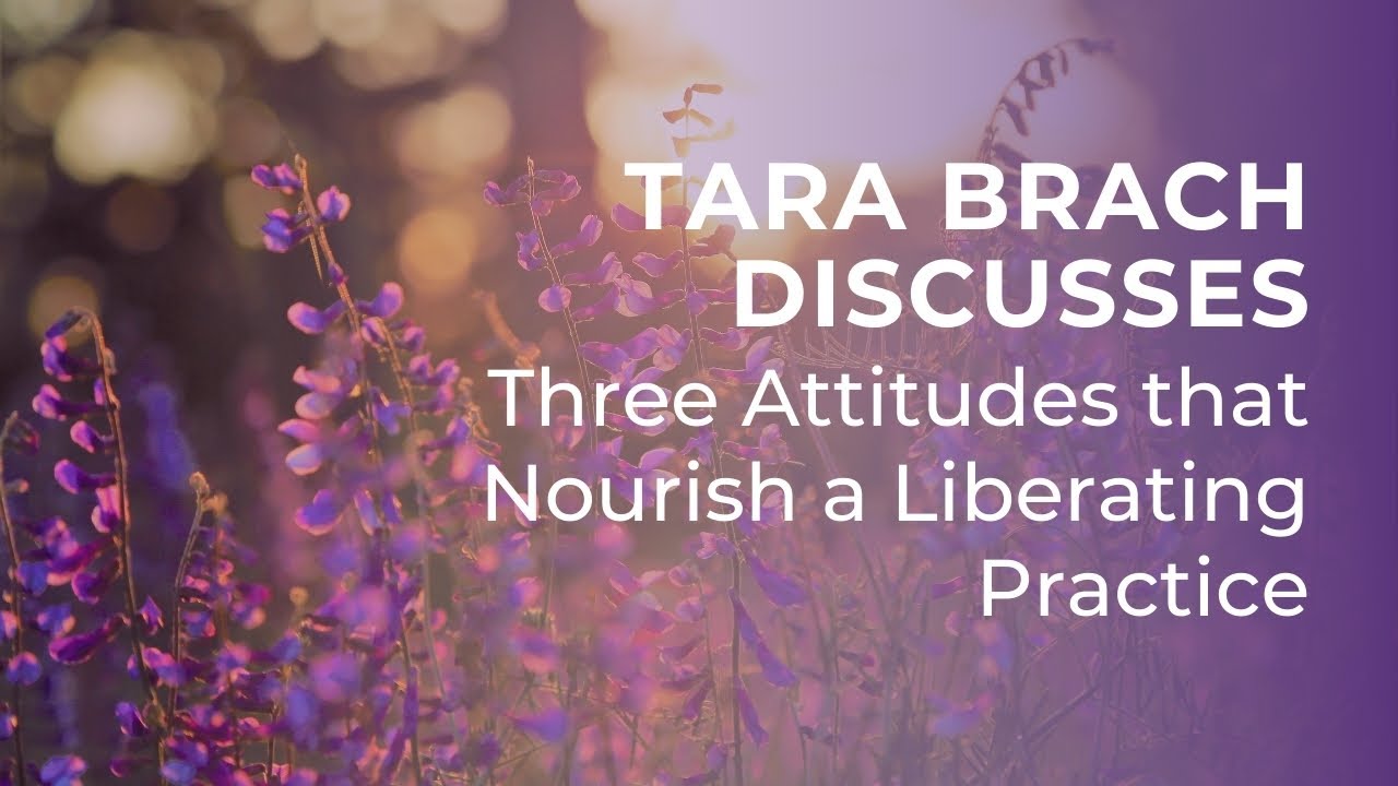 Teachings with Tara Brach: Three Key Attitudes for a Liberating Mindfulness Practice