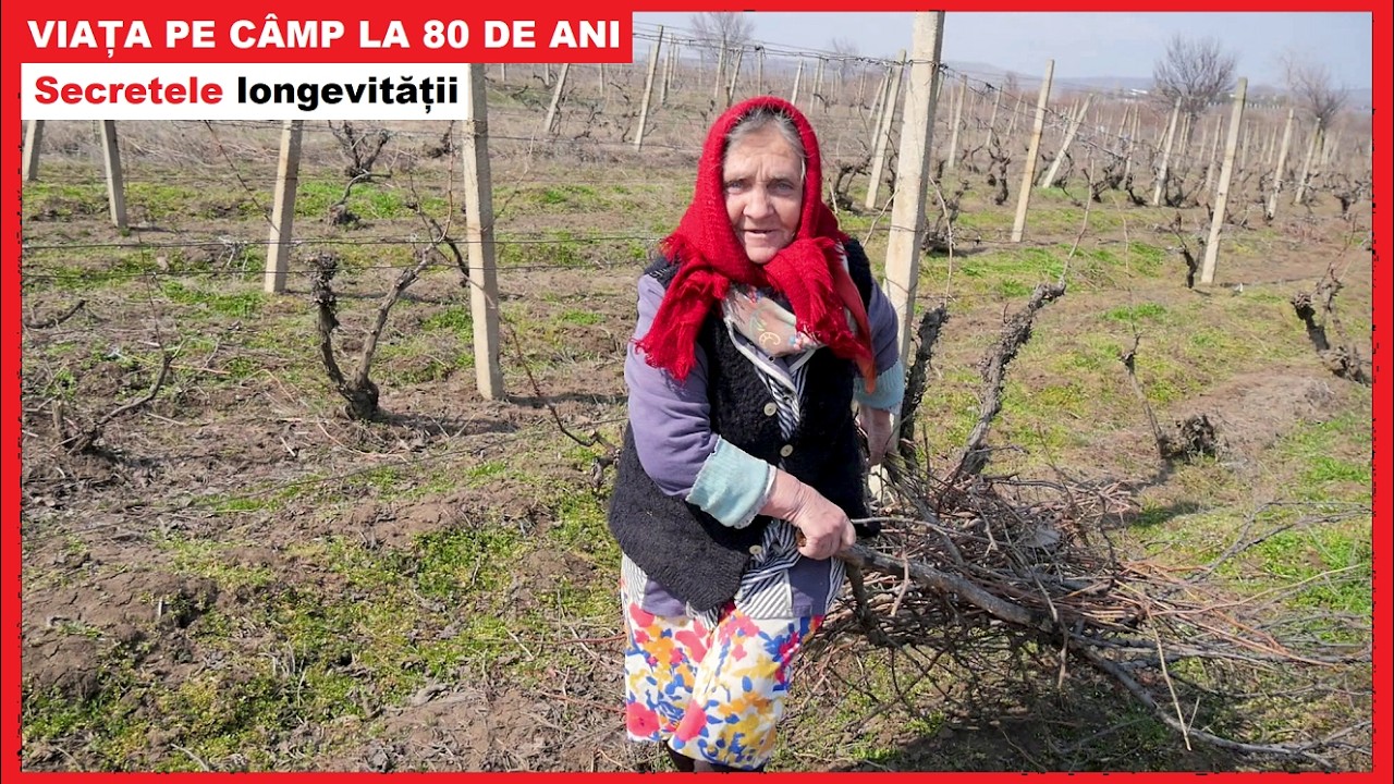 VIAȚA pe câmp la 80 de ani! | Tanti Aurica - Muncă și SFATURI de viață | SECRETELE longevității
