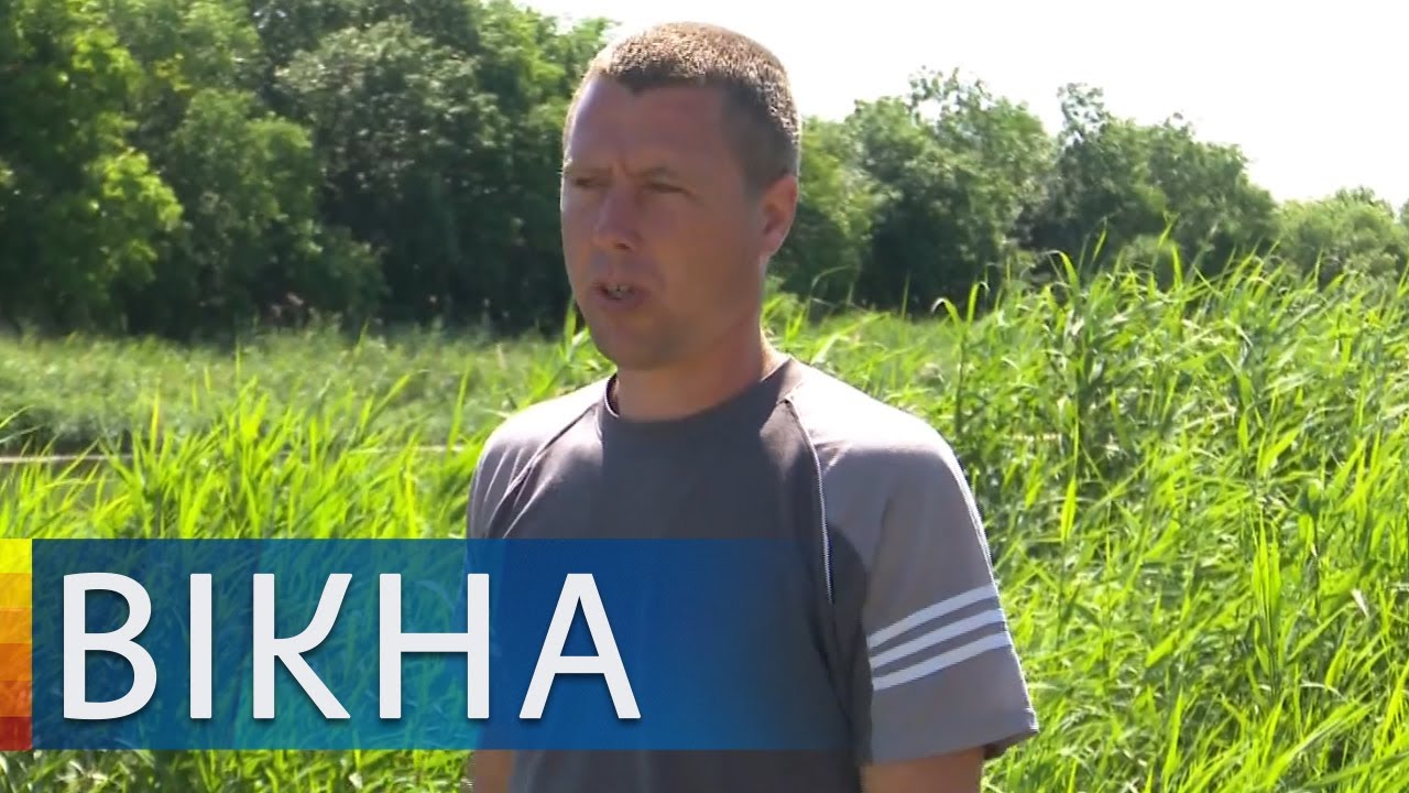 Две девочки пошли купаться на пруд и утонули одна за другой - трагедия в Запорожье | Вікна-Новини