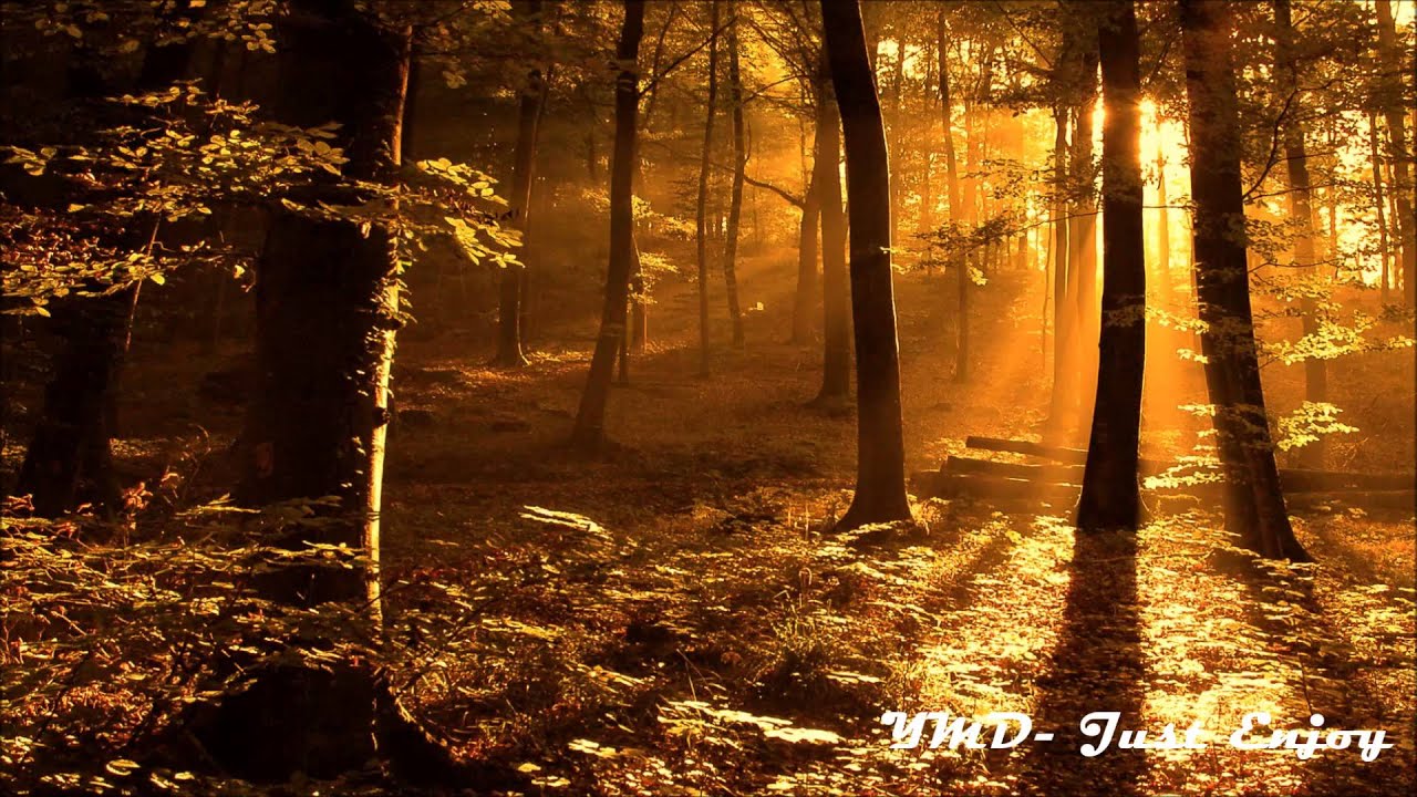 Thomas Jack - Symphony (Original Mix) [Free Download]