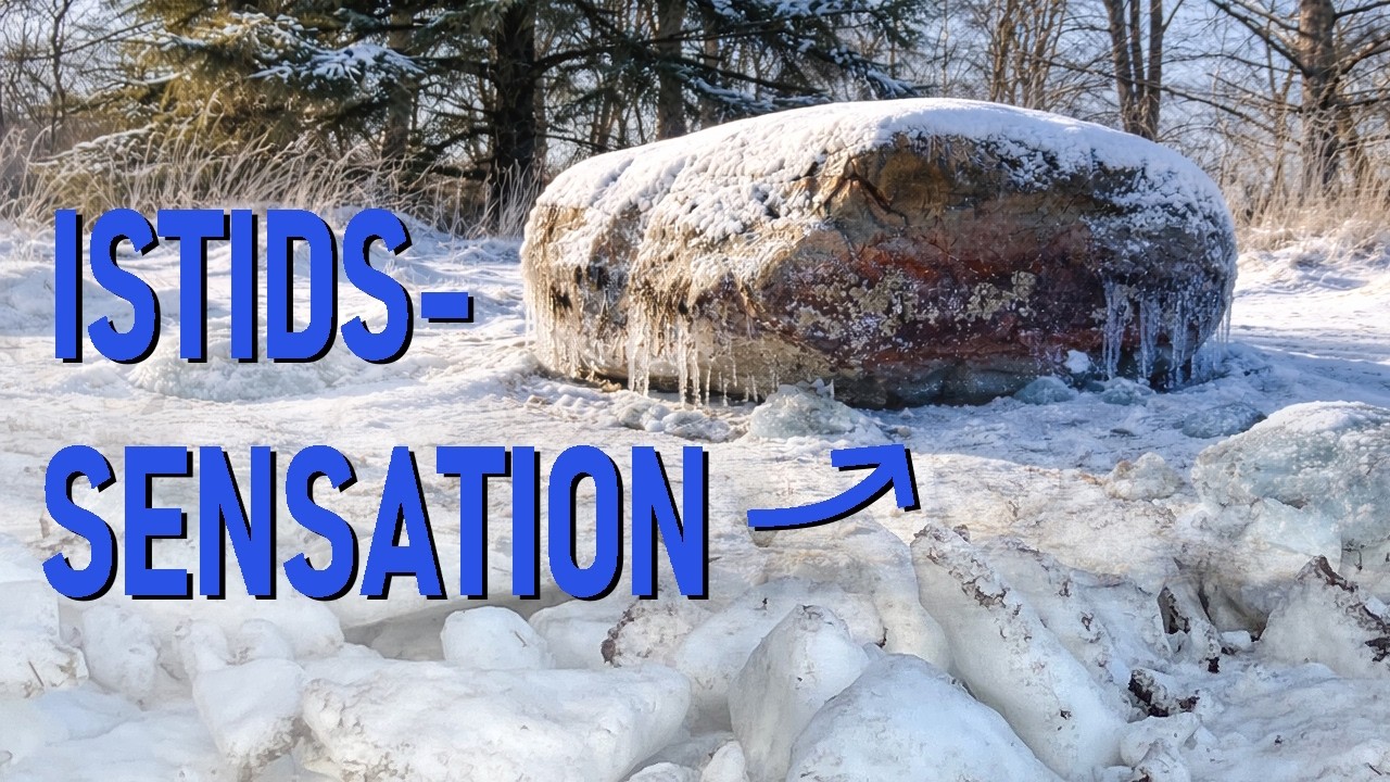 Fortiden i nutiden: K&aelig;mpesten flyttet af isen!