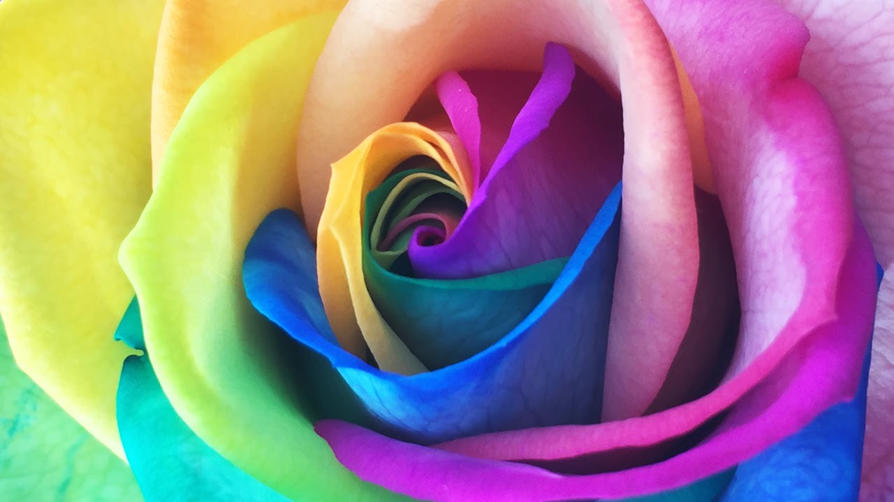 ♥☆Somewhere Over the Rainbow☆♥  by IZ Israel Kamakawiwo'ole (What a wonderful world!)