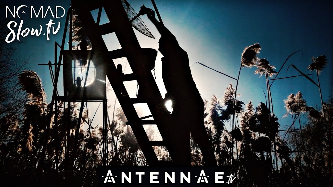 Beaver Moon ANTENNAE – Builders of the Moment | NOMADslow.tv