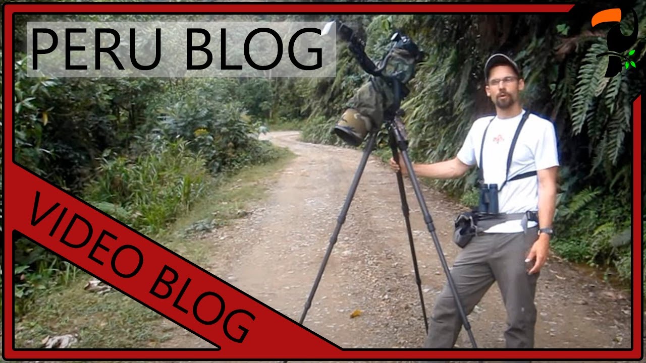 Video Blog - 3 Months in Peru (By Wildlife Photographer Glenn Bartley)