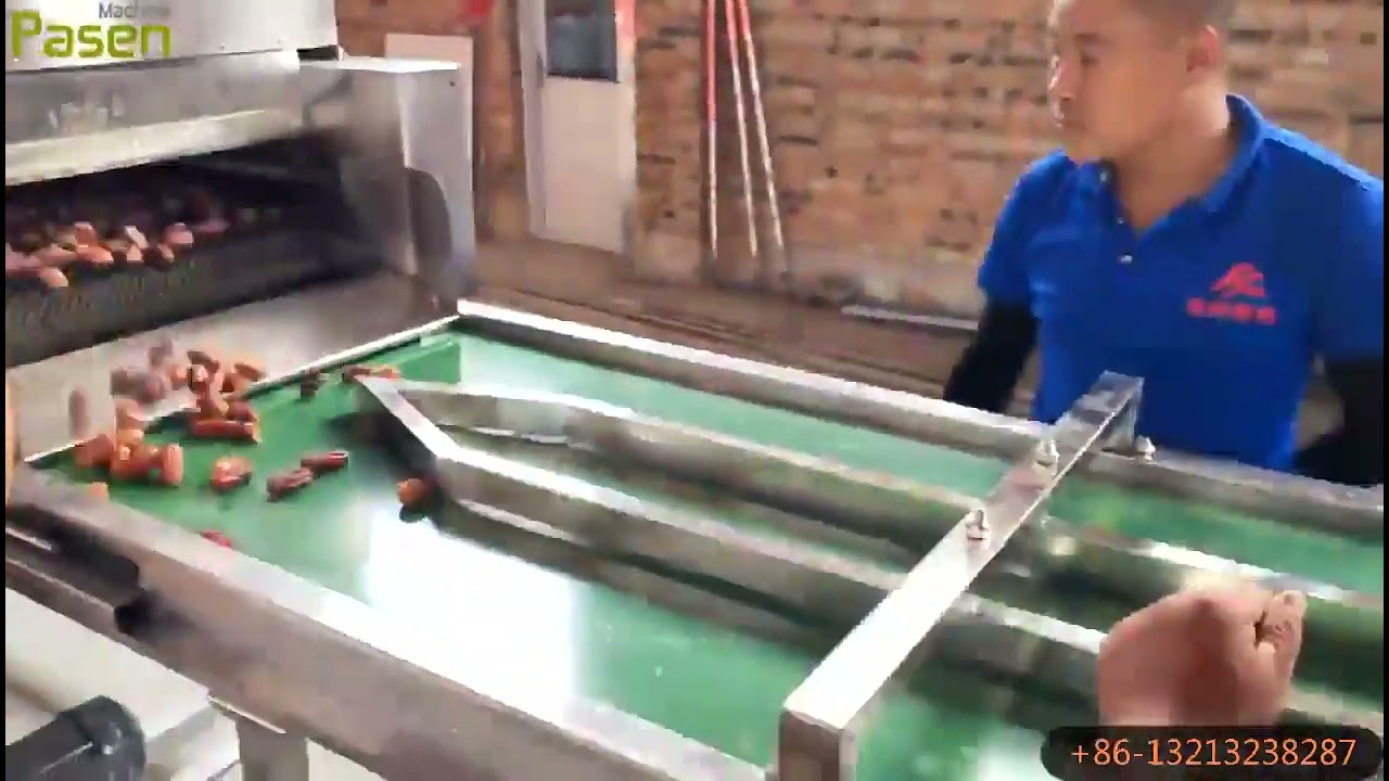 Automatic Palm Dates Cleaning Polishing picking sorting machine production line +86-13213238287