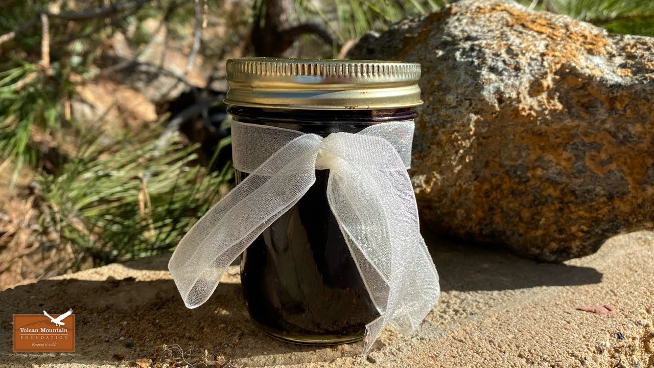 Wildcrafting: Elderberry Chutney