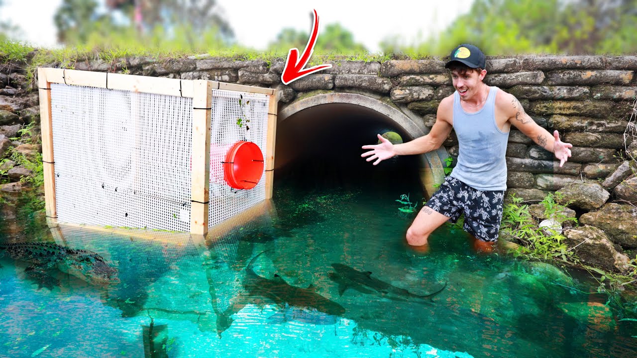 We Built the WORLDS LARGEST Freshwater Fish Trap!!! (INSANE)