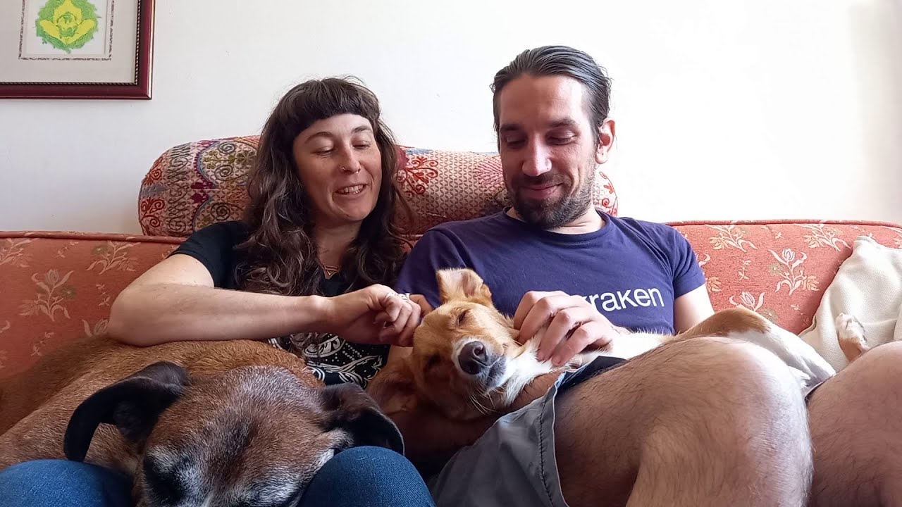 PUPPY ADOPTION! Skye Joins The Scrappy Homestead