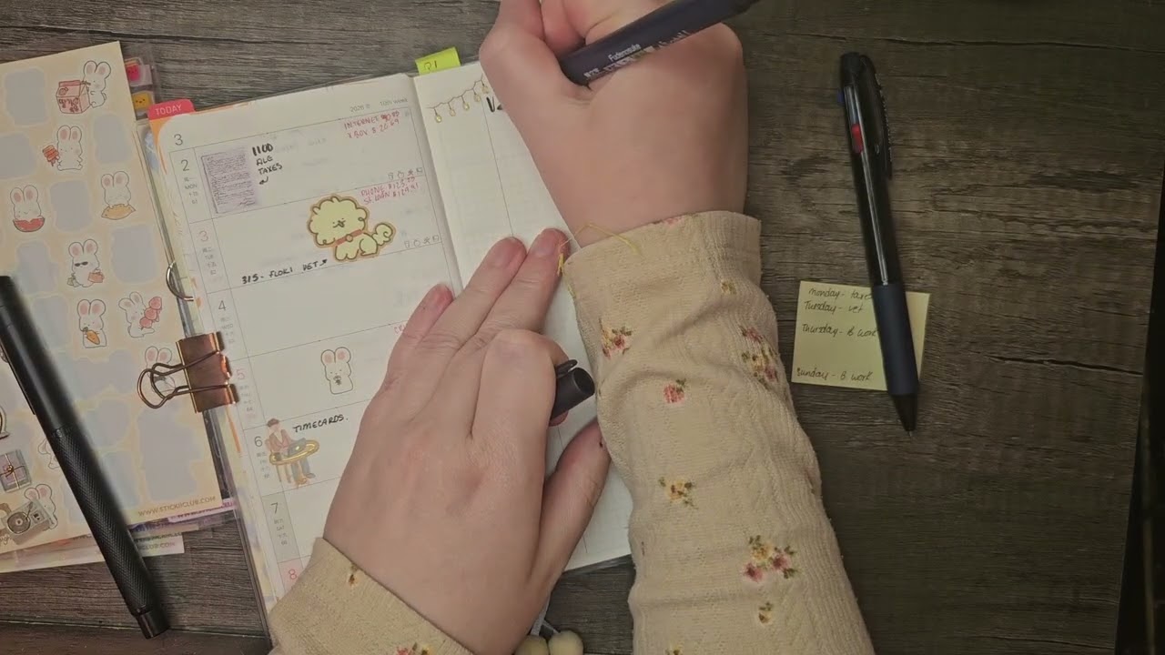 Plan With me - Week 10 | Kinbor Weeks