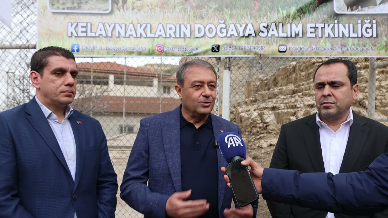 ŞANLIURFA'NIN BİRECİK İLÇESİNDE KELAYNAKLAR DOĞAYA SALINDI
