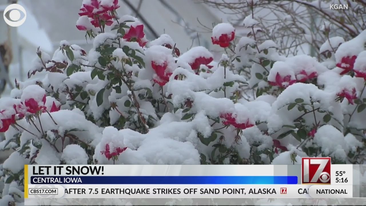Let it snow (in Iowa)!
