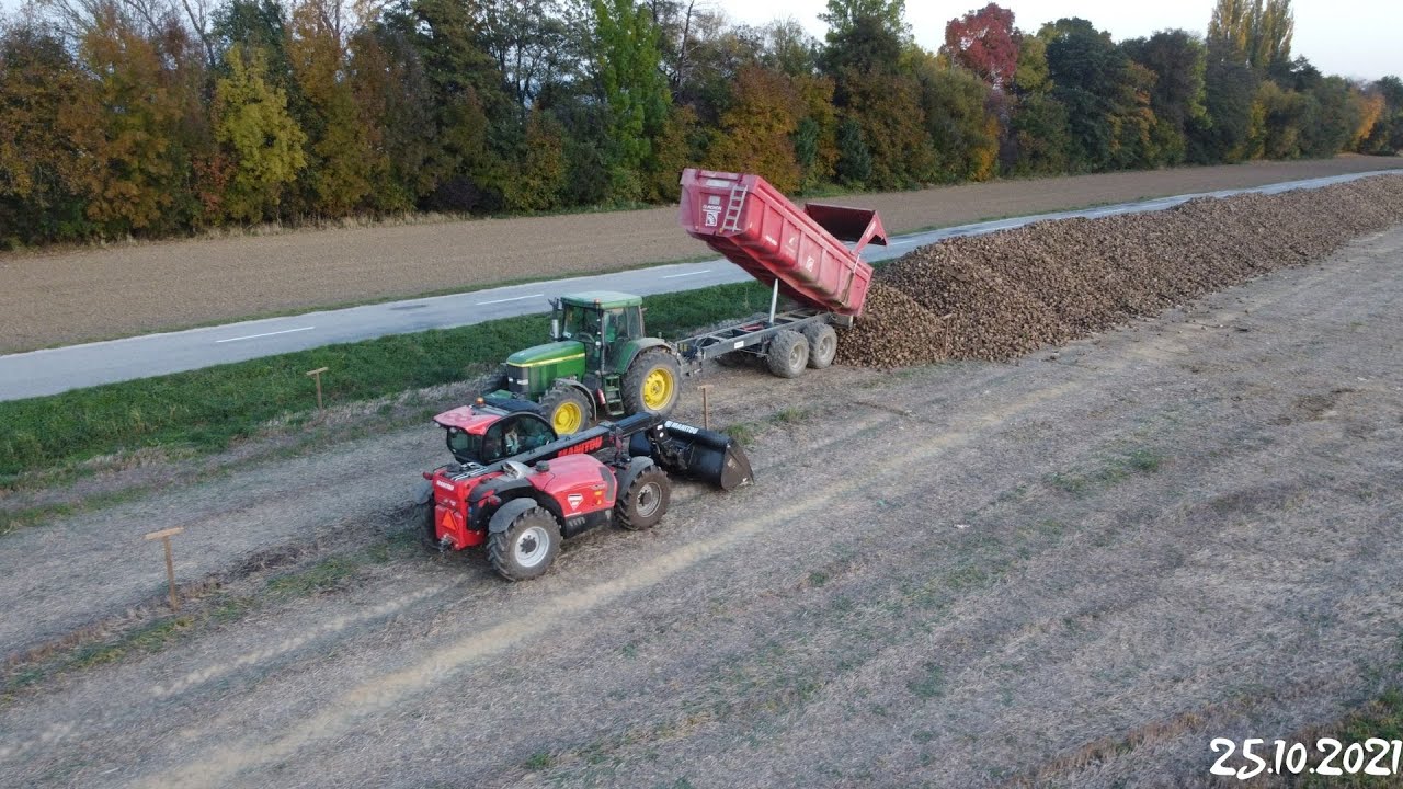 Zber repy/Beet harvest//2021//Pobedim//Dron cam