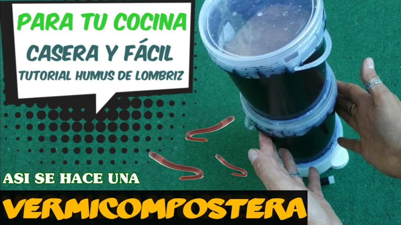 COMO HACER UNA VERMICOMPOSTERA CASERA Cómo hacer HUMUS DE LOMBRIZ vermicompostera para  apartamento