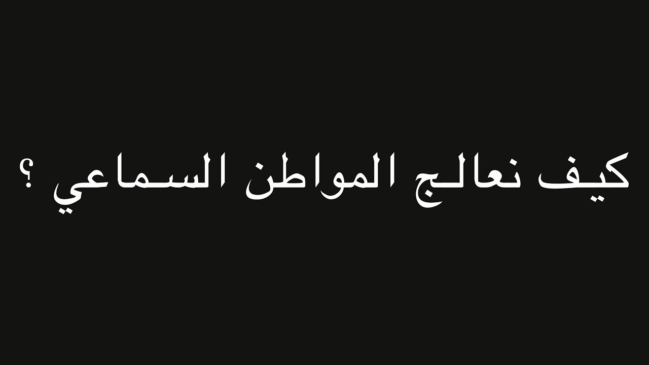 كيف نعالج المواطن السماعي ؟ | ندوة د. علاء الأسواني