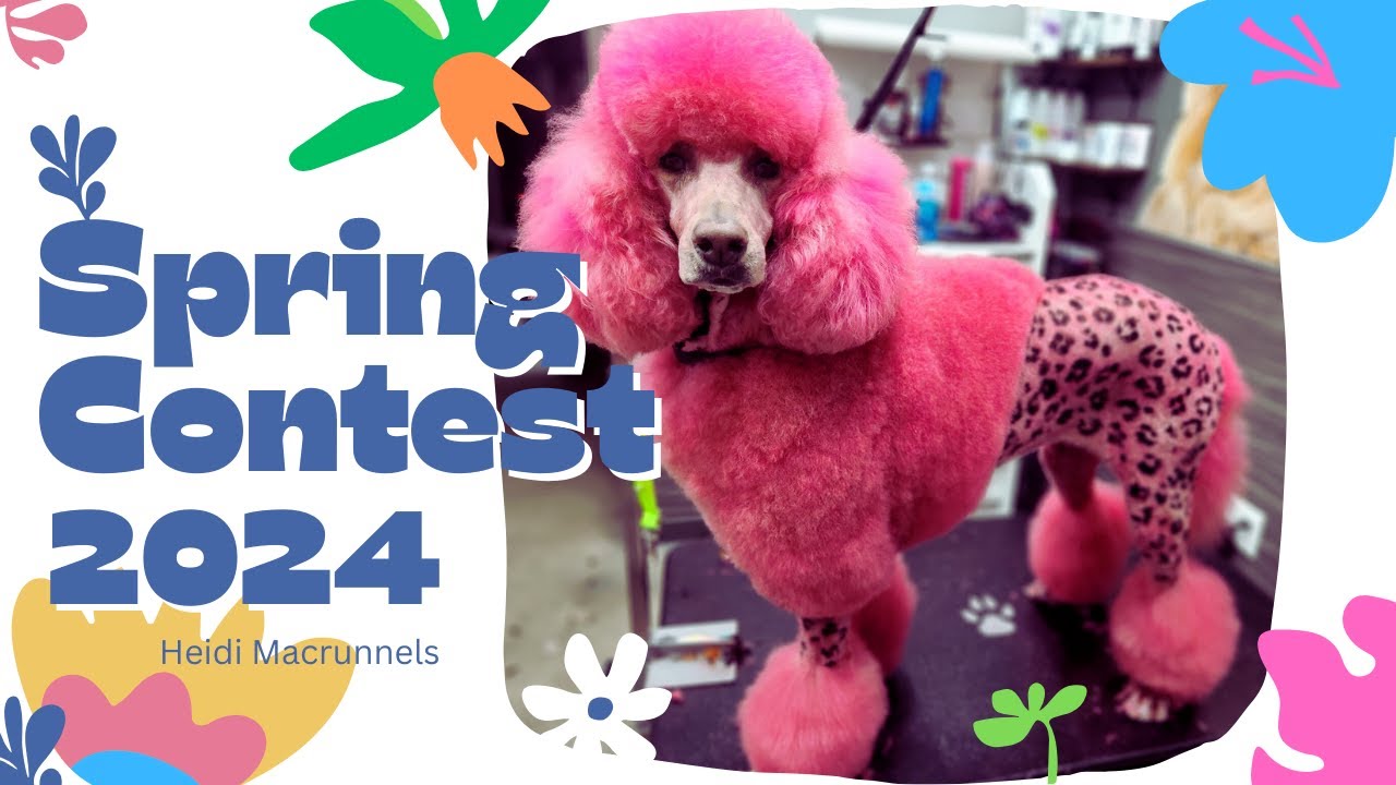 OPAWZ Spring Creative Dog Grooming Contest 2024