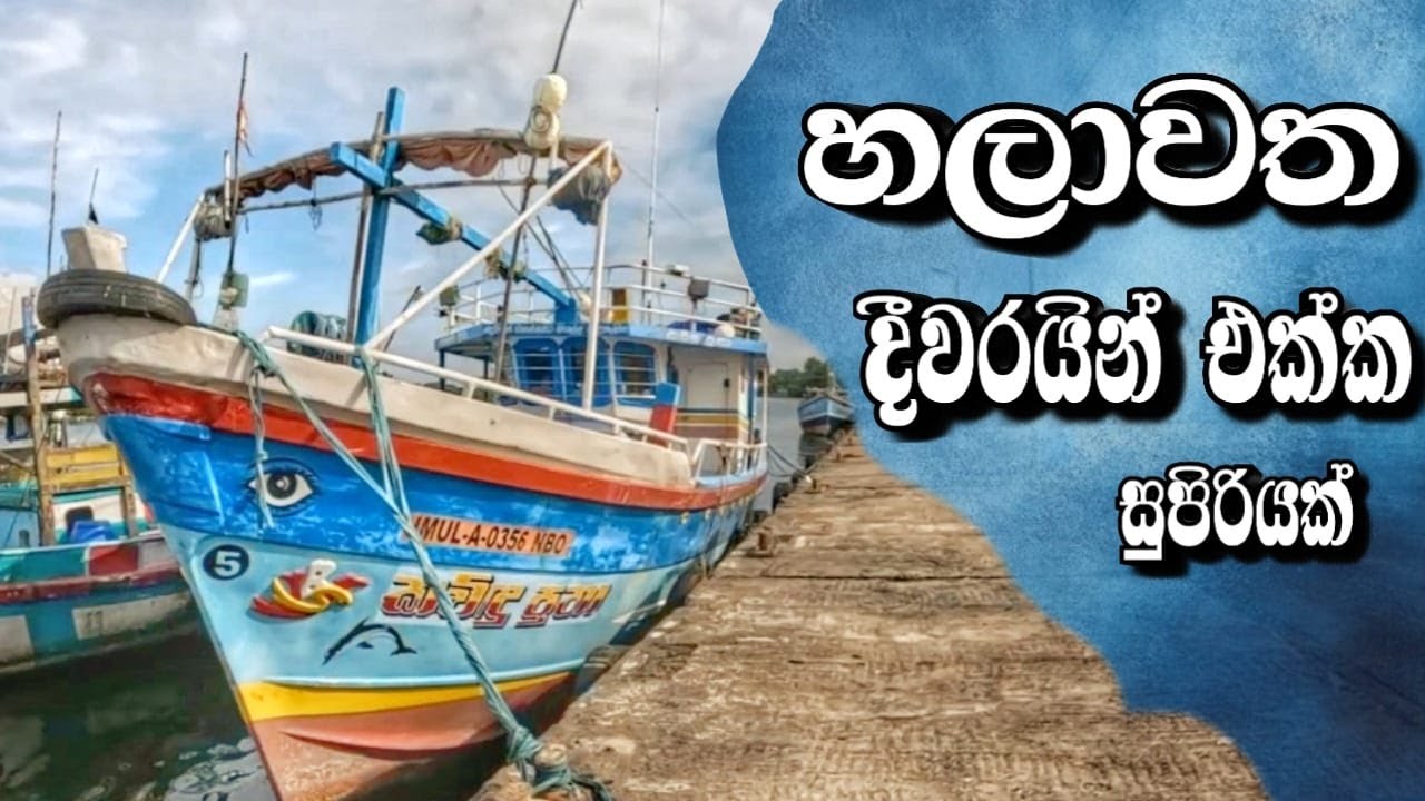 හලාවත වැල්ලේ දිවරයින් සමග සුපිරි හොරාවක් Chilaw fish market 🐟🚢/@travelwithsidney / vlog11