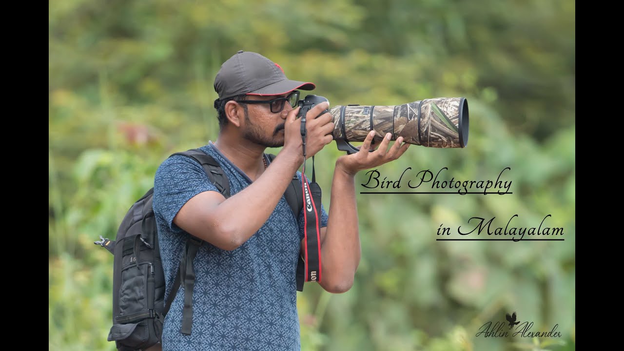 Bird Photography Tips in Malayalam | Wildlife Photography in Malayalam | Kerala Wildlife photography