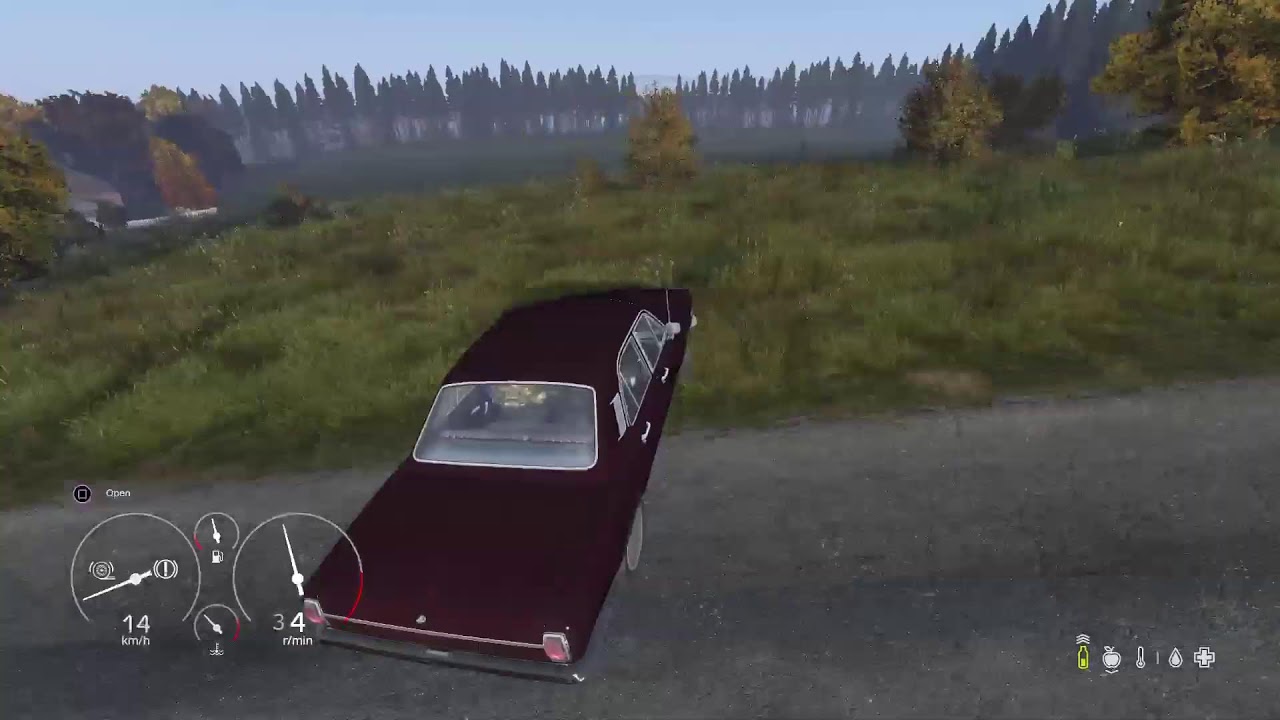 DayZ