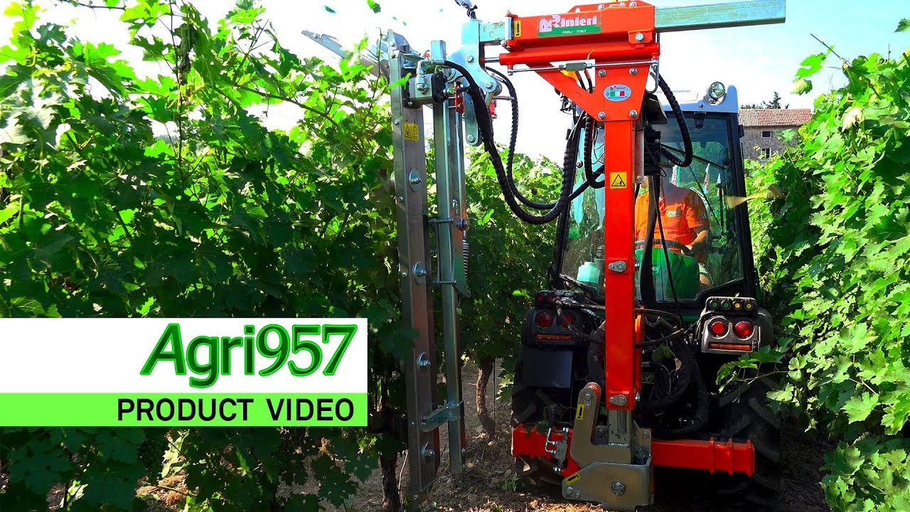SINGLE KNIFE RINIERI PRUNING MACHINE | CIMATRICE UNILATERALE A COLTELLI RINIERI a ENOVITIS IN CAMPO