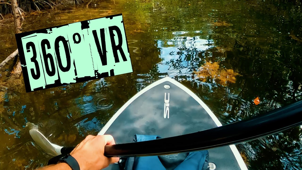 Paddle Boarding in the Florida Keys // 360&deg; VR