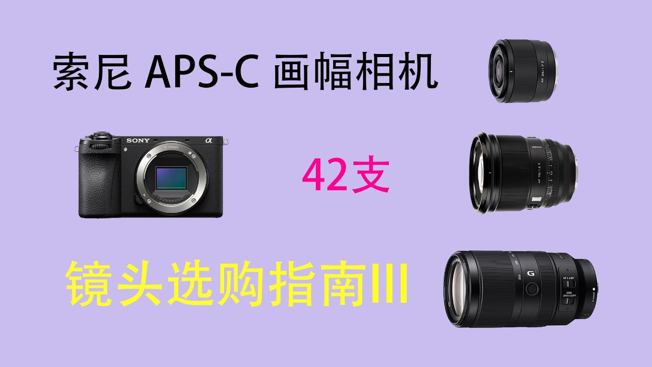 索尼APS-C半画幅镜头选购指南III｜42支讲解！新手避坑×省钱攻略 (Sony APS-C Lens Guide 2025)