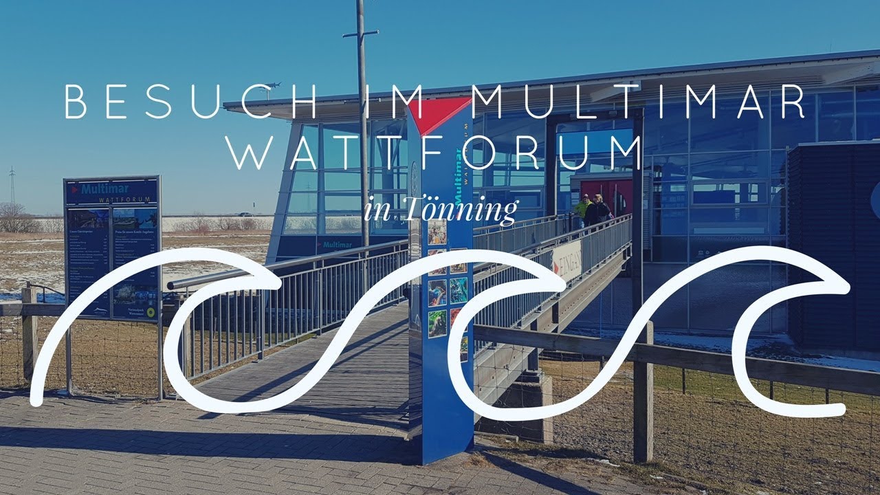 Besuch im Multimar Wattforum ♥ (2018) | Nana