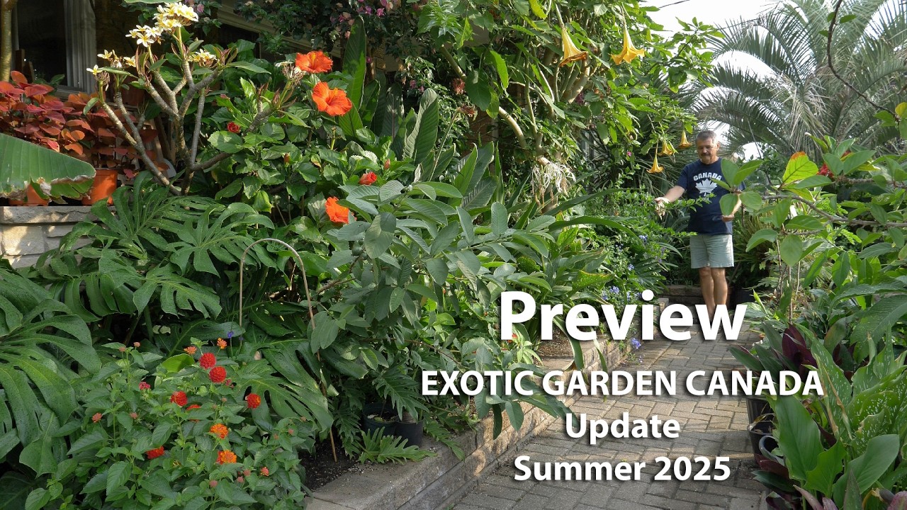 PREVIEW - Exotic Garden Canada Update Summer 2025/ 4K