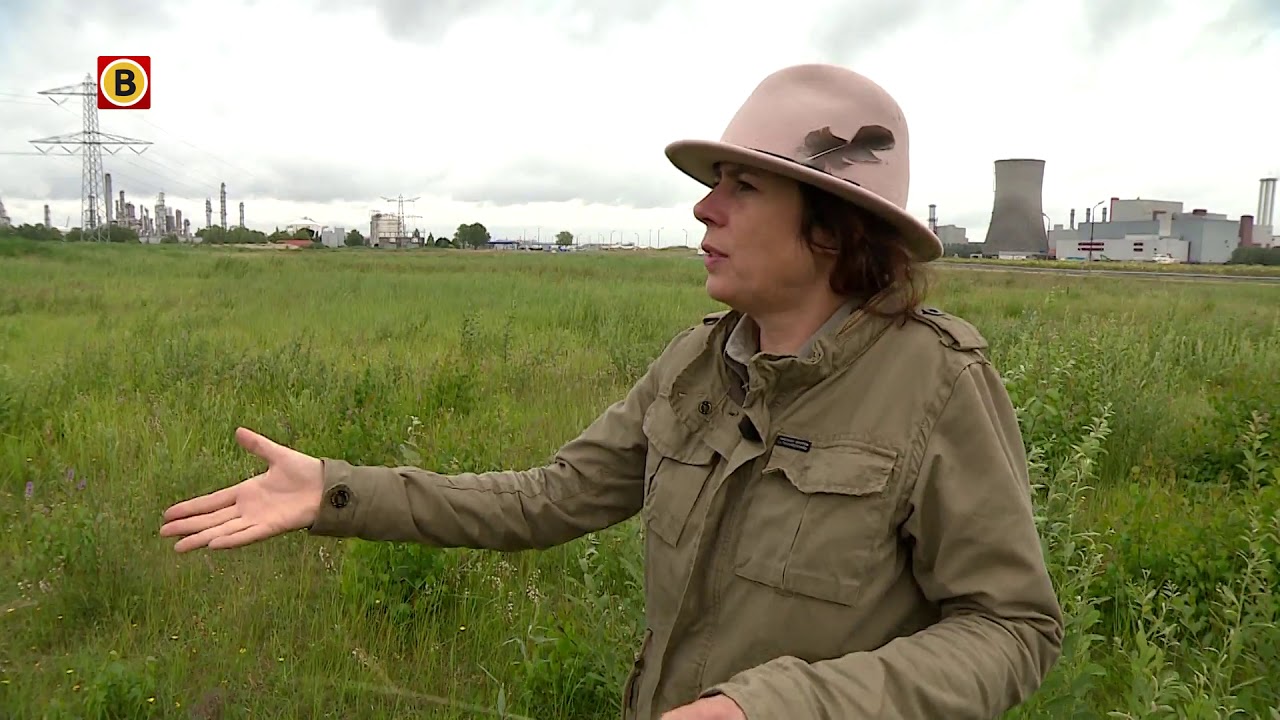 Zeldzame natuur tussen de zware industrie van Moerdijk